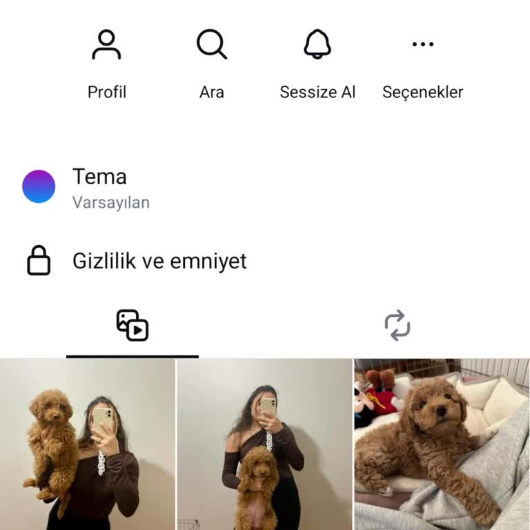 @evimizdekisevimlipatiler 1.600 TL Nakliye Ücreti Talep Eden Yanıltıcılar!