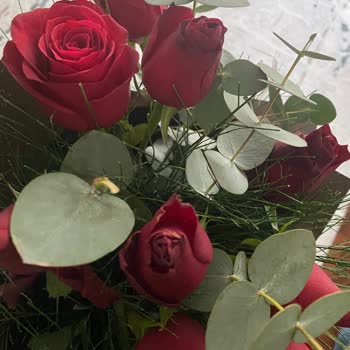 Solmuş Güller Ve Ulaşılamayan Müşteri Hizmetleri