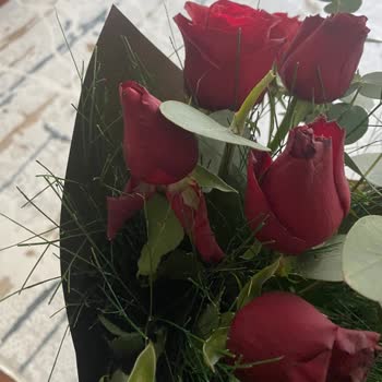 Solmuş Güller Ve Ulaşılamayan Müşteri Hizmetleri