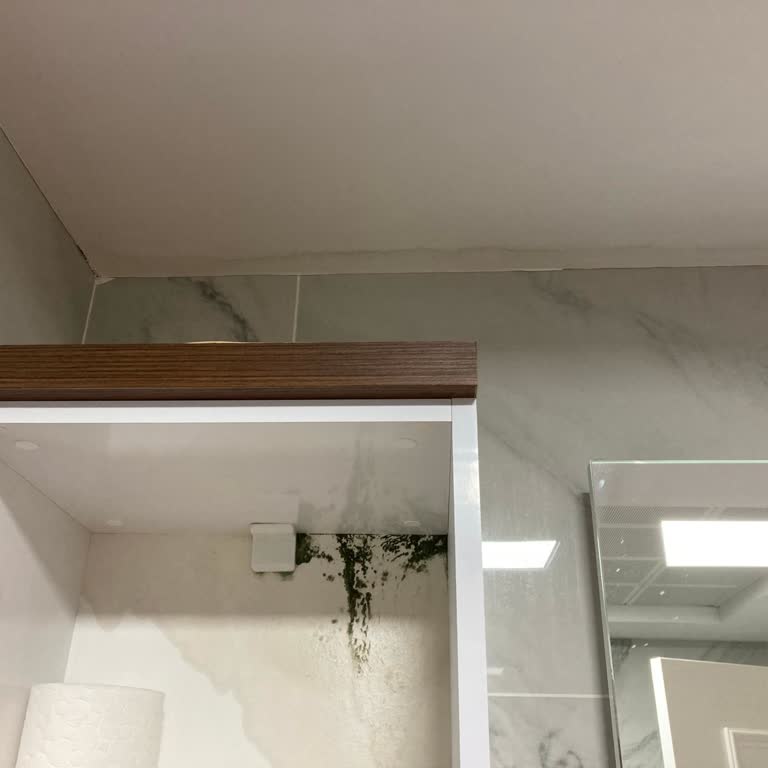 Su Sızıntısı Ve İlgisizlik Mağduriyeti