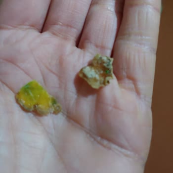 Feast Dondurulmuş Ispanağında Çürük Parçalar