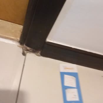 Dehşet Verici Otel Deneyimi Ve İlgisiz Tur Şirketi