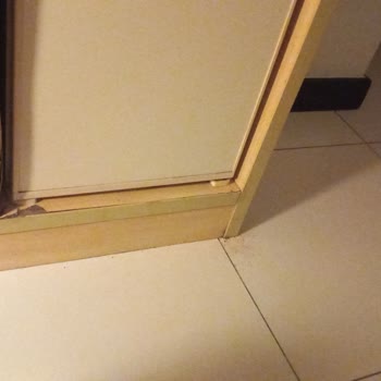 Dehşet Verici Otel Deneyimi Ve İlgisiz Tur Şirketi