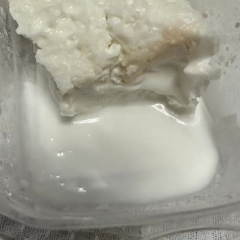 Bozuk Kaymak Ve Sinirli Kavurma Deneyimi