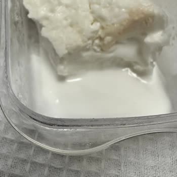 Bozuk Kaymak Ve Sinirli Kavurma Deneyimi