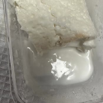 Bozuk Kaymak Ve Sinirli Kavurma Deneyimi