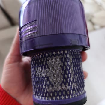 Dyson Süpürge: Küf Kokusu Ve Alerji Sorunu