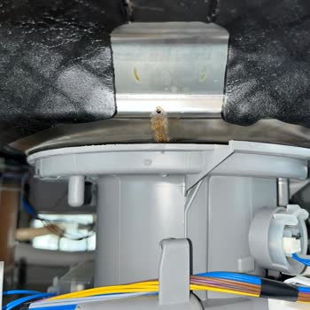 Bosch Bulaşık Makinesi Arızası Ve Servis Sorunu