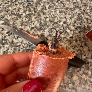 Başyazıcı Sucukta Şok Edici Buluntu