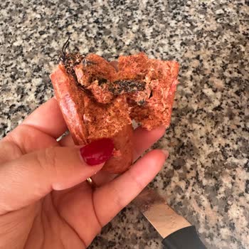 Başyazıcı Sucukta Şok Edici Buluntu