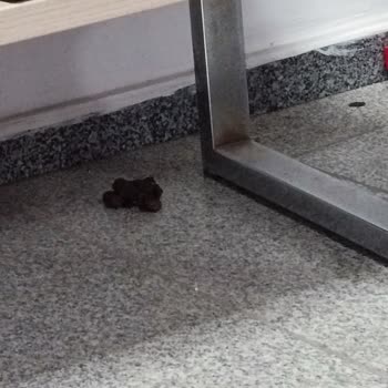 Acil Poliklinikte Hijyen Sorunları