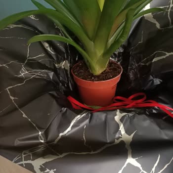 Yanlış Ürün Ve Ulaşılamayan Destek