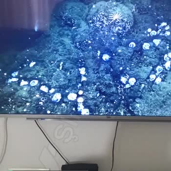 JBL Soundbar Ses Hassasiyeti