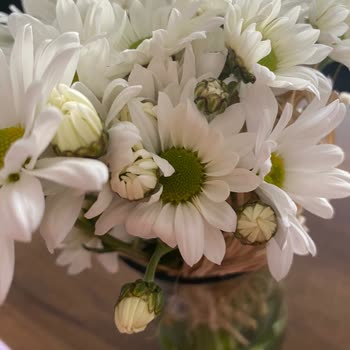 Görseldeki Çiçek Yanıltmacası