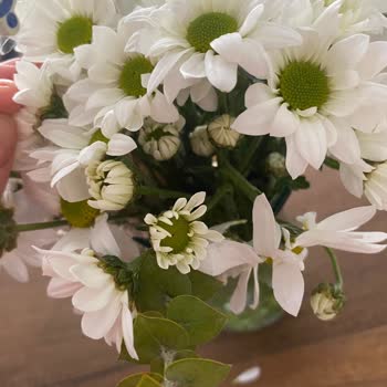 Görseldeki Çiçek Yanıltmacası