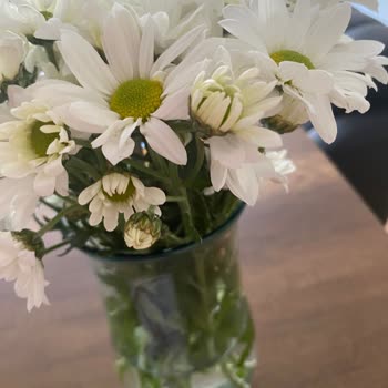 Görseldeki Çiçek Yanıltmacası