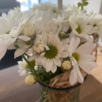 Görseldeki Çiçek Yanıltmacası