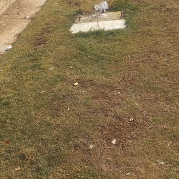 Adaletsiz Ortak Giderler Ve İhmal Edilen Temizlik