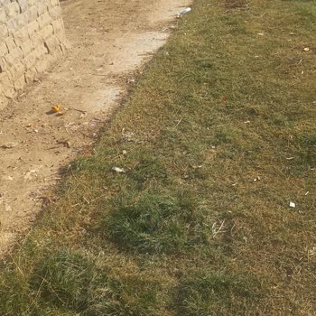 Adaletsiz Ortak Giderler Ve İhmal Edilen Temizlik