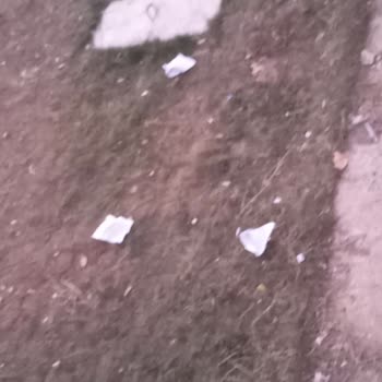 Adaletsiz Ortak Giderler Ve İhmal Edilen Temizlik