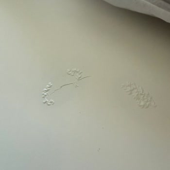 IKEA'dan Kitaplık Krizi: Sorunlu Ürün Ve Yetersiz Müşteri Hizmetleri