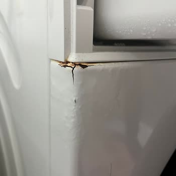 Bosch Çamaşır Makinesi Paslanma Sorunu