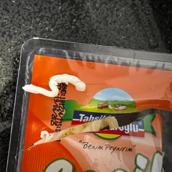 Peynirin İçinden Çıkan Kıl Şoku
