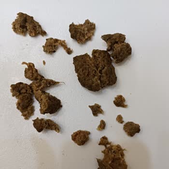 Kötü Kokulu Ve Tatlı Köfte Deneyimi