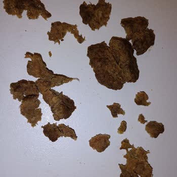 Kötü Kokulu Ve Tatlı Köfte Deneyimi