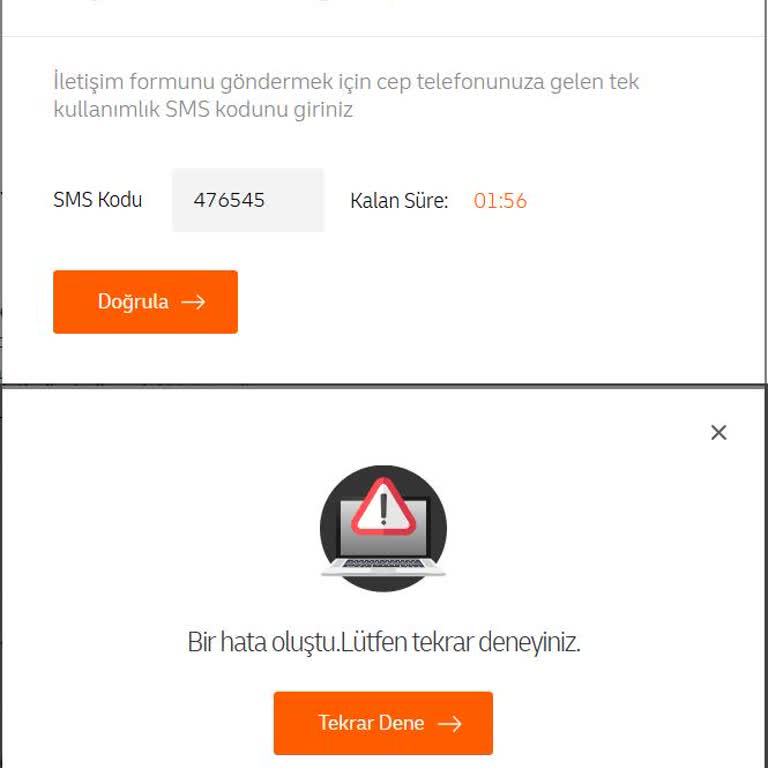 Kedi Kumu Teslimatında MNG'nin Yetersiz Hizmeti
