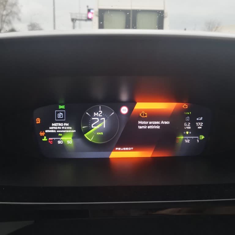 Peugeot 308 Motor Arızası Ve Servis Sorunları