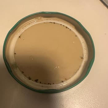 Migros Sanal Market'te Gıda Güvenliği Sorunu: Açık Kapağıyla Gelen Bozuk Turşu