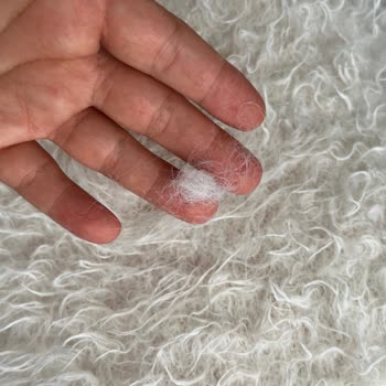 Peluş Kazak Tüy Döküyor Ve Alerji Yapıyor