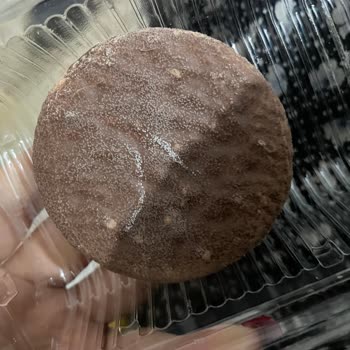 Beklenmedik Halley Sorunu