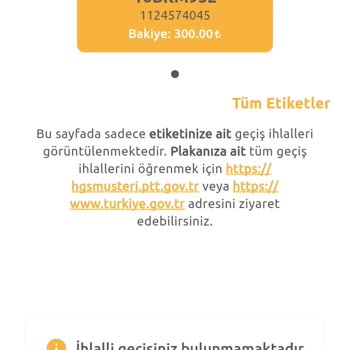 HGS Geçiş Ücreti Sistemde Görünmüyor, Cezai İşlem Riski