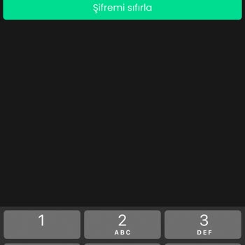 Bitay Hesap Erişimi Ve Para Çekme Sorunu