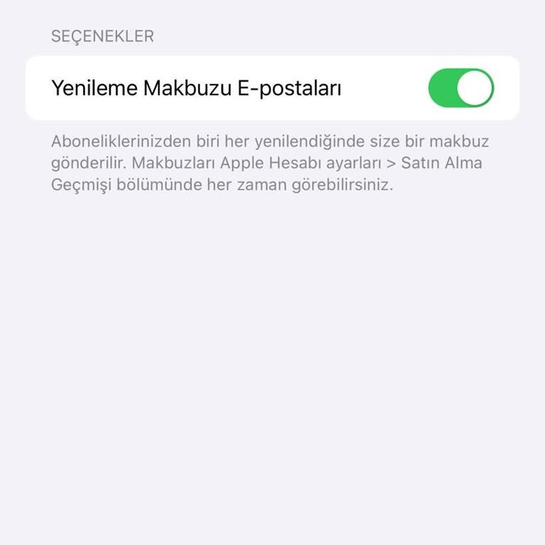 Kapatılan Mail Hesabı Yüzünden Erişim Sorunu