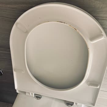 Hijyen Eksikliği Ve Yanlış Kat Yerleşimi Rahatsızlığı