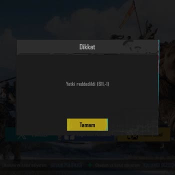 PUBG Hesabına Erişim Sorunu Ve Güvenlik Endişesi