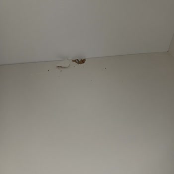 Atılım AVM'de Montaj Sorunu Ve Müşteri Memnuniyetsizliği