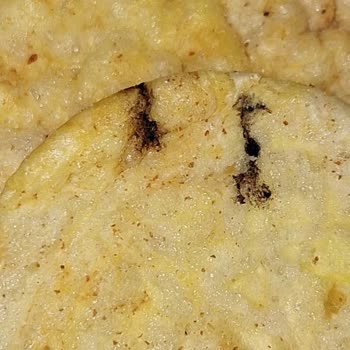 Eti Gong Pops'ta Hijyen Sorunu