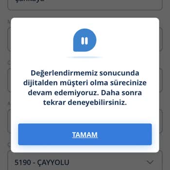 Dijital Müşteri Olma Sürecinde Yaşanan Sorun Ve Eşitsizlik