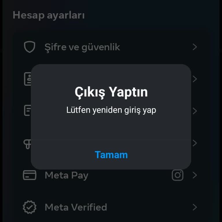 Instagram Hesabım Sürekli Çıkış Yapıyor Ve Güvenliğim Tehlikede!
