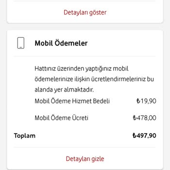 Play Store Harcaması Hatası: Gerçekten Harcadım Mı?
