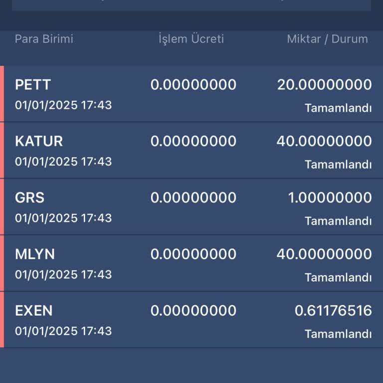 Bitexen'de Exen Coinlerim Kayboldu