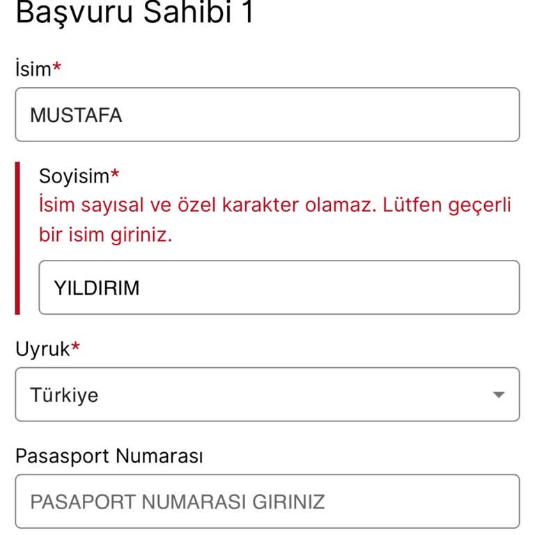 VFS Global Kayıt Sorunu: İsveç Vizesi İçin Türkçe Karakter Engeli
