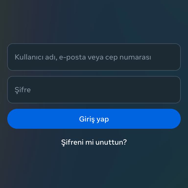 Instagram Hesabına Giriş Yapamama Sorunu