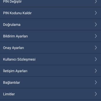 Bitexen Hesabımda Kayıp Para Ve Token Sorunu