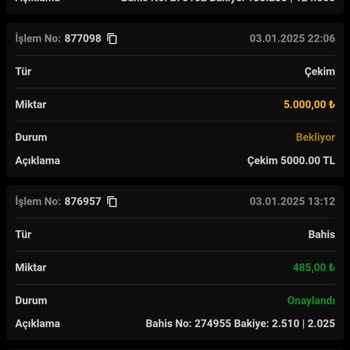 Ödeme Sorunları Ve Canlı Destek Mağduriyeti