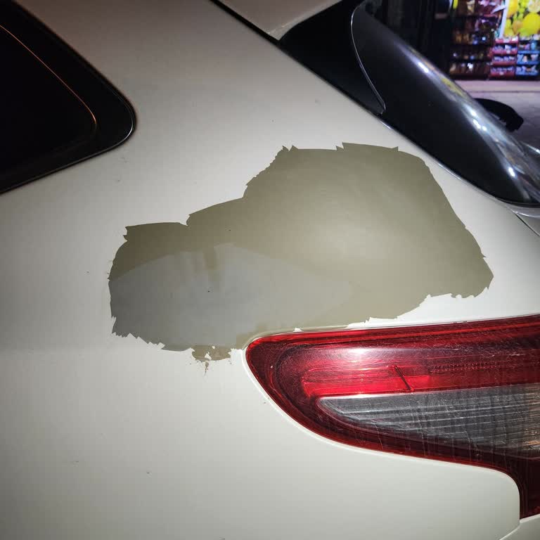 Nissan Qashqai Boya Sorunu Ve Çözüm Arayışı